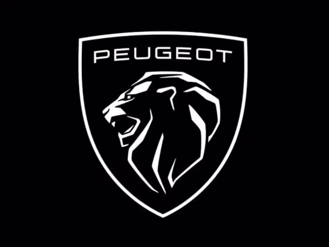 Cover image for Peugeot | Video content