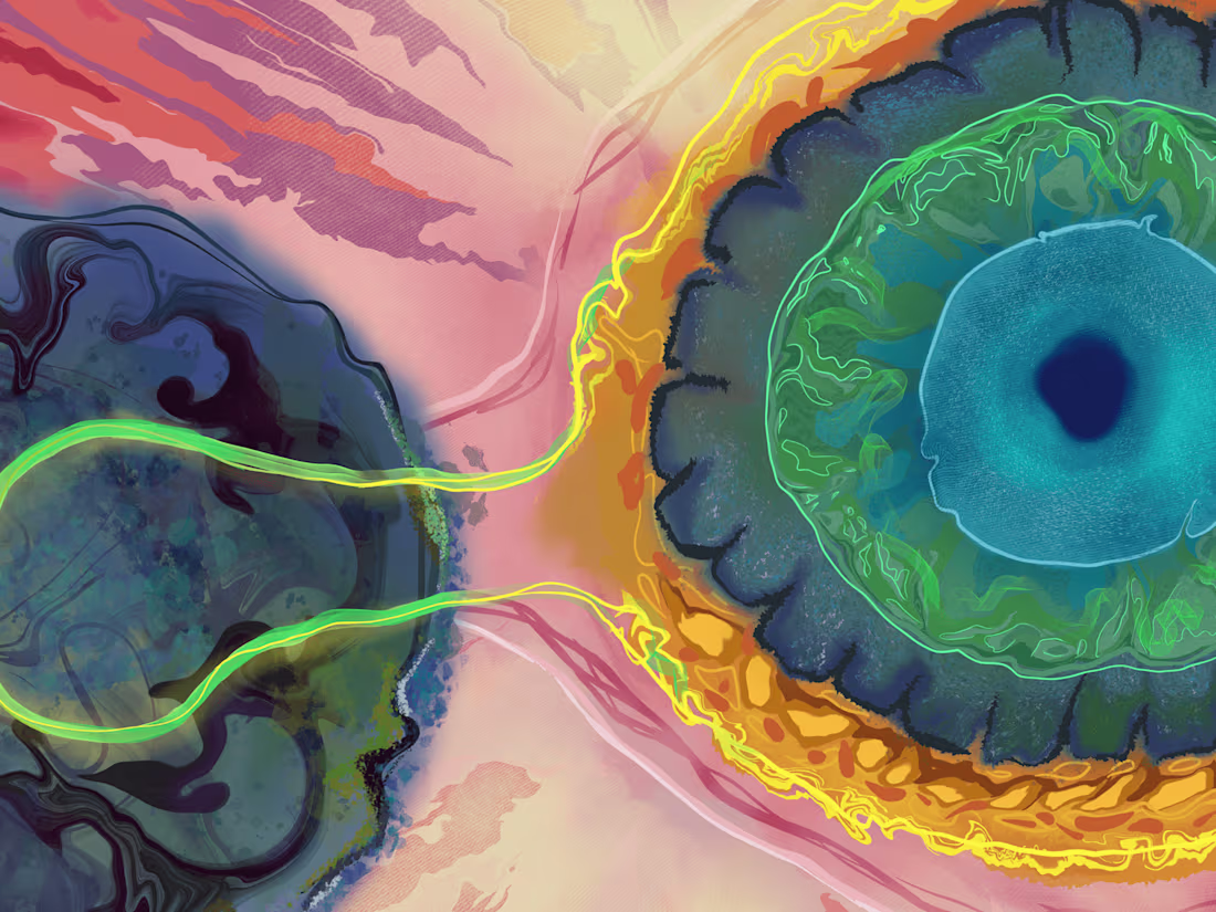 Cover image for Close-up