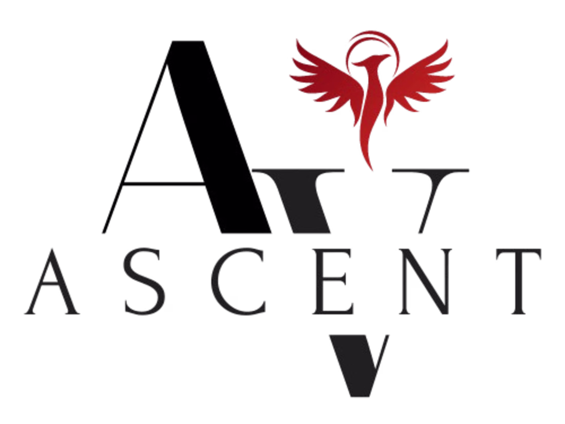 Cover image for Company Profile Development