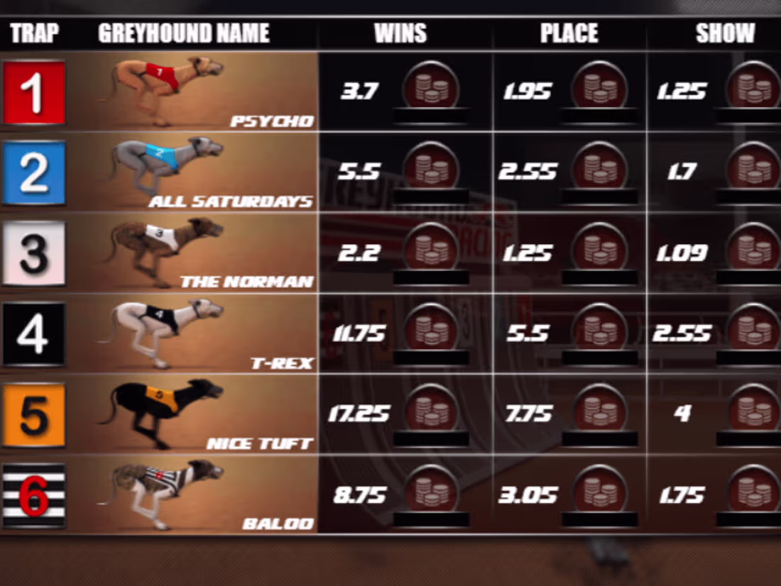 Cover image for Greyhound Racing