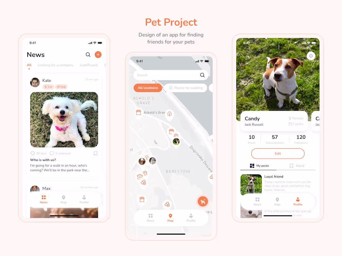 Cover image for Application design - Pet Project