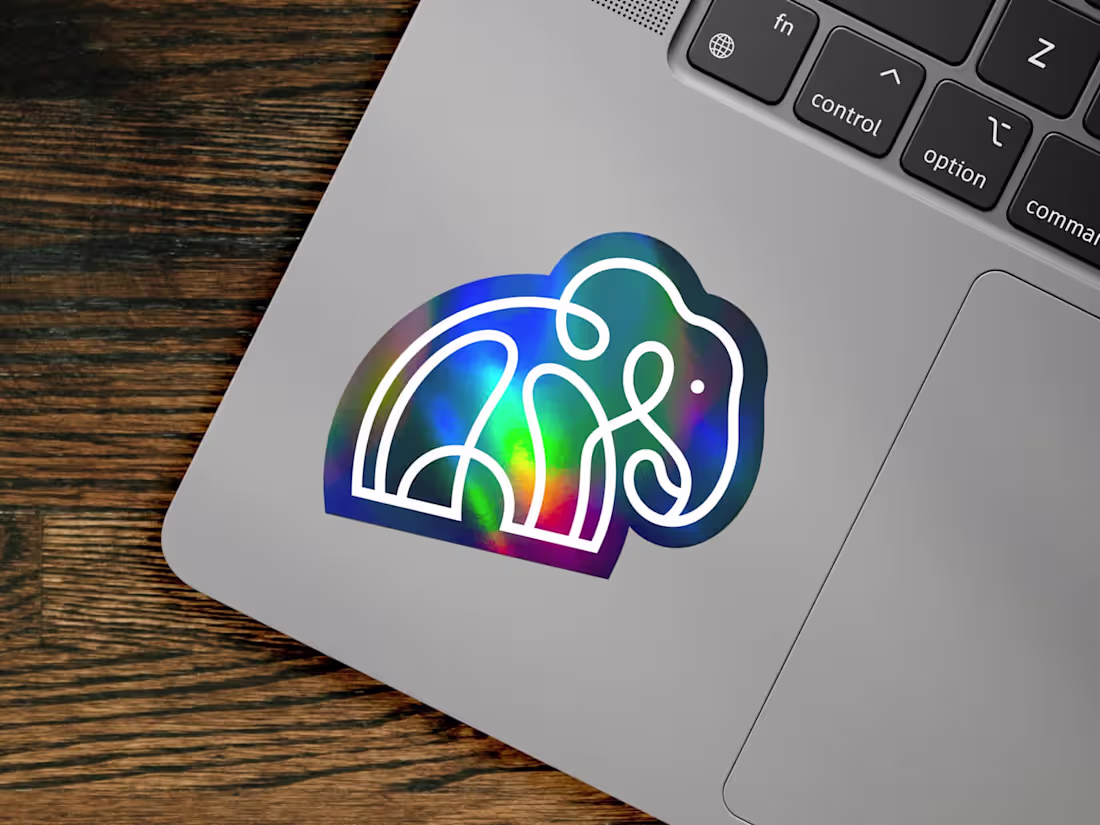 Cover image for Candor | Brand Identity + Marketing