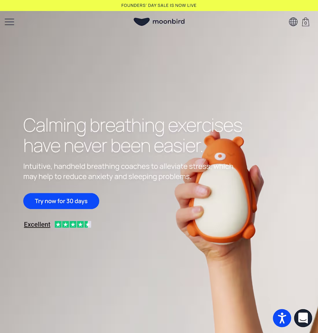 Cover image for A digital wellness platform supporting