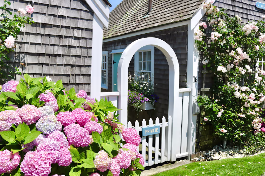 Cover image for BLOG: Exploring the Picture-Worthy Gems of Nantucket