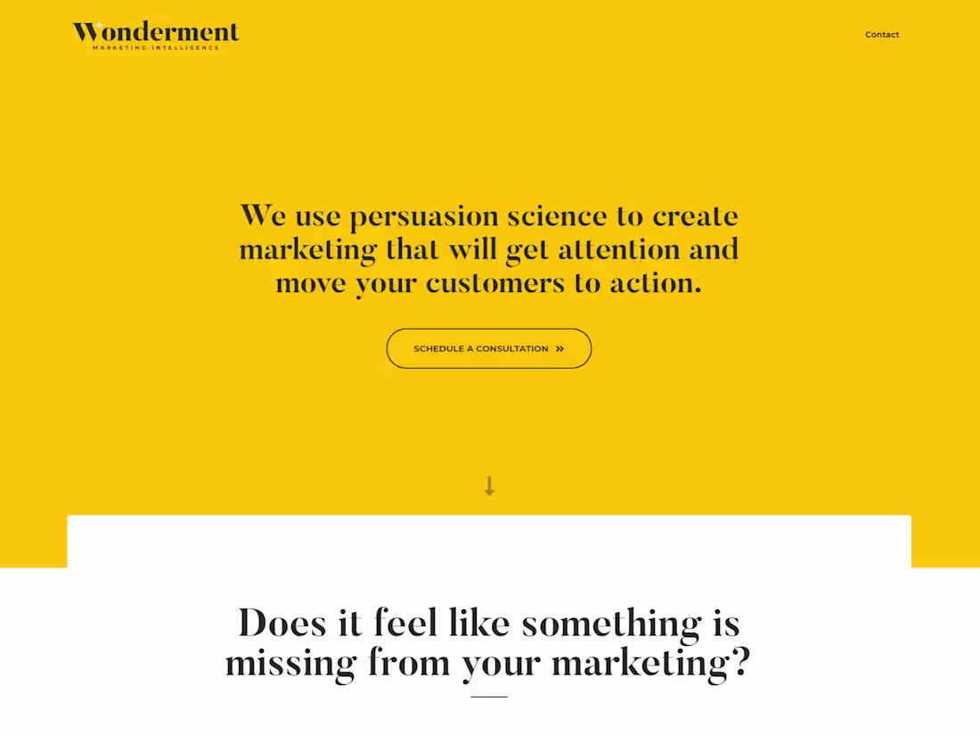 Cover image for Wonderment