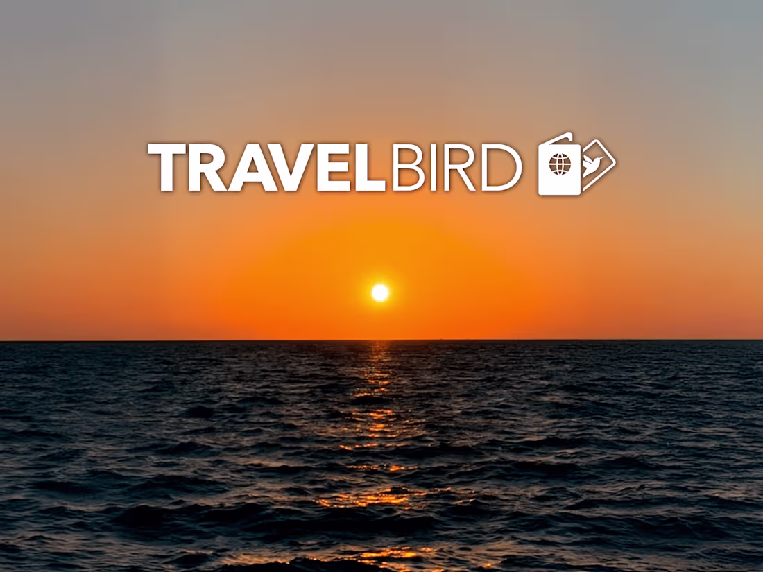 Cover image for Healthbird & Travelbird | Meta and TikTok Ads