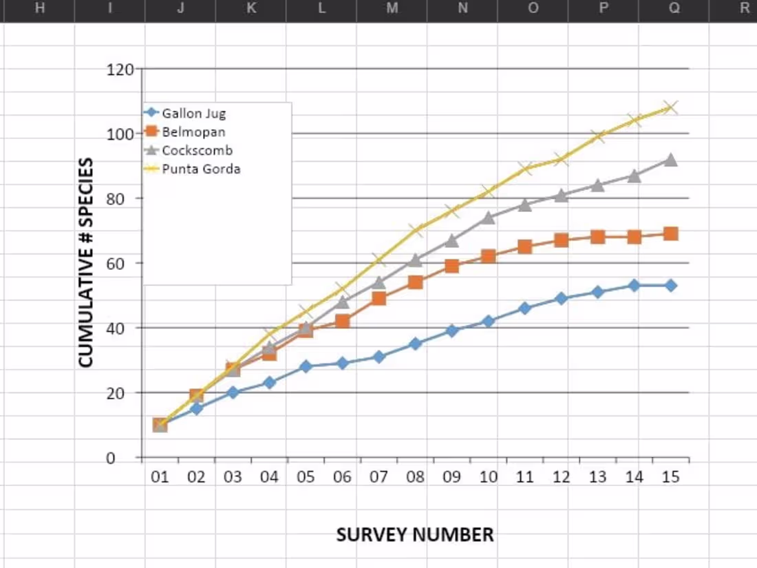 Cover image for Ecology: Study Site Analysis