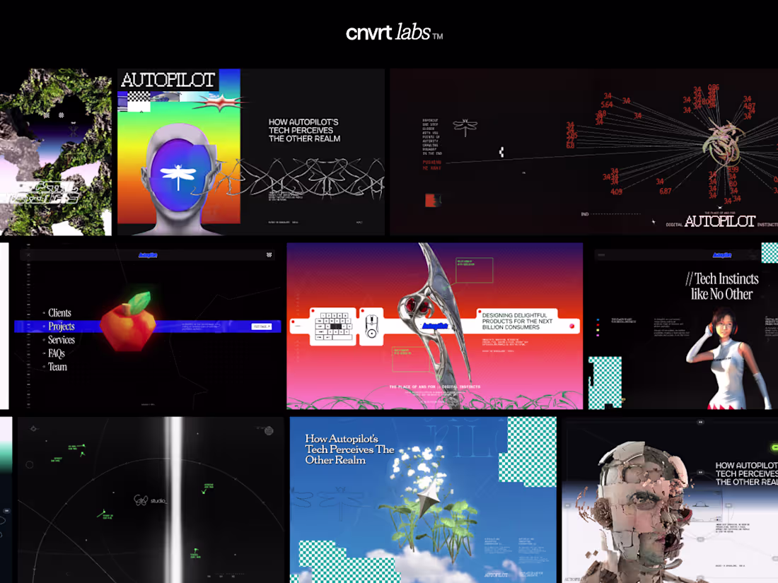 Cover image for Brand Identity Design