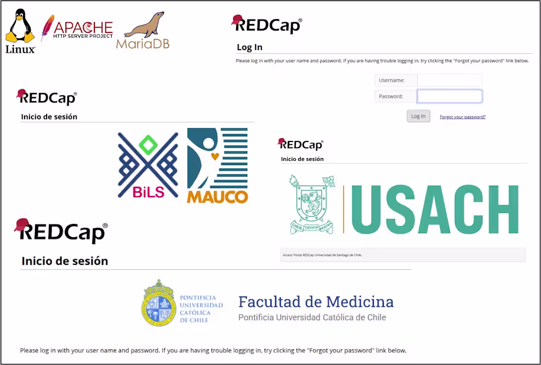 Cover image for Migration and modernization of multiple