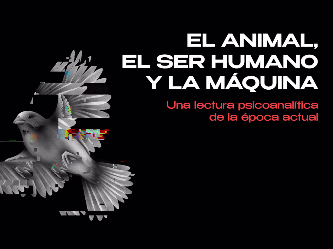 Cover image for Poster Design for NEL