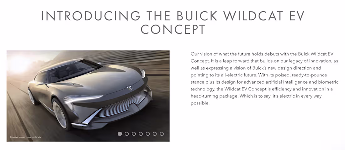 Cover image for Lead writer for Buick.com
