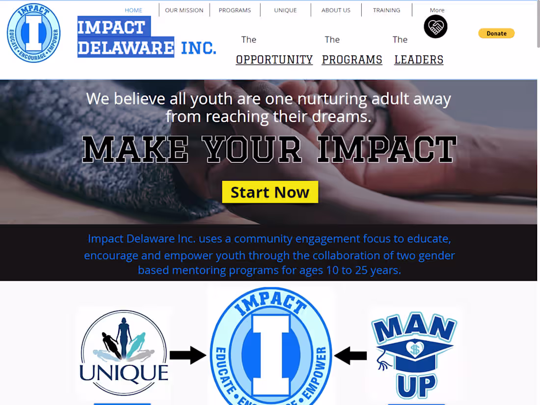 Cover image for Impact Delaware