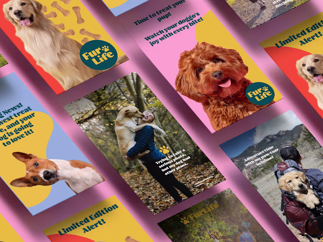 Cover image for Visual Identity