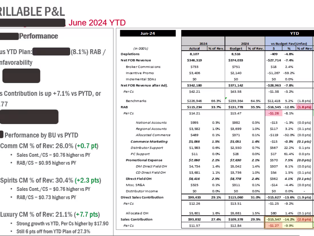 Cover image for Quarterly P&L Review + Strategic Insights
