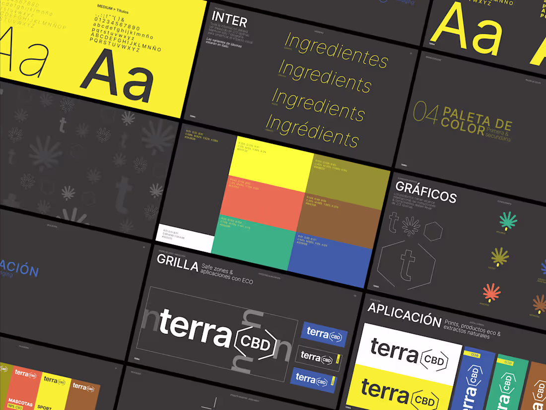 Cover image for Terra : Re Branding