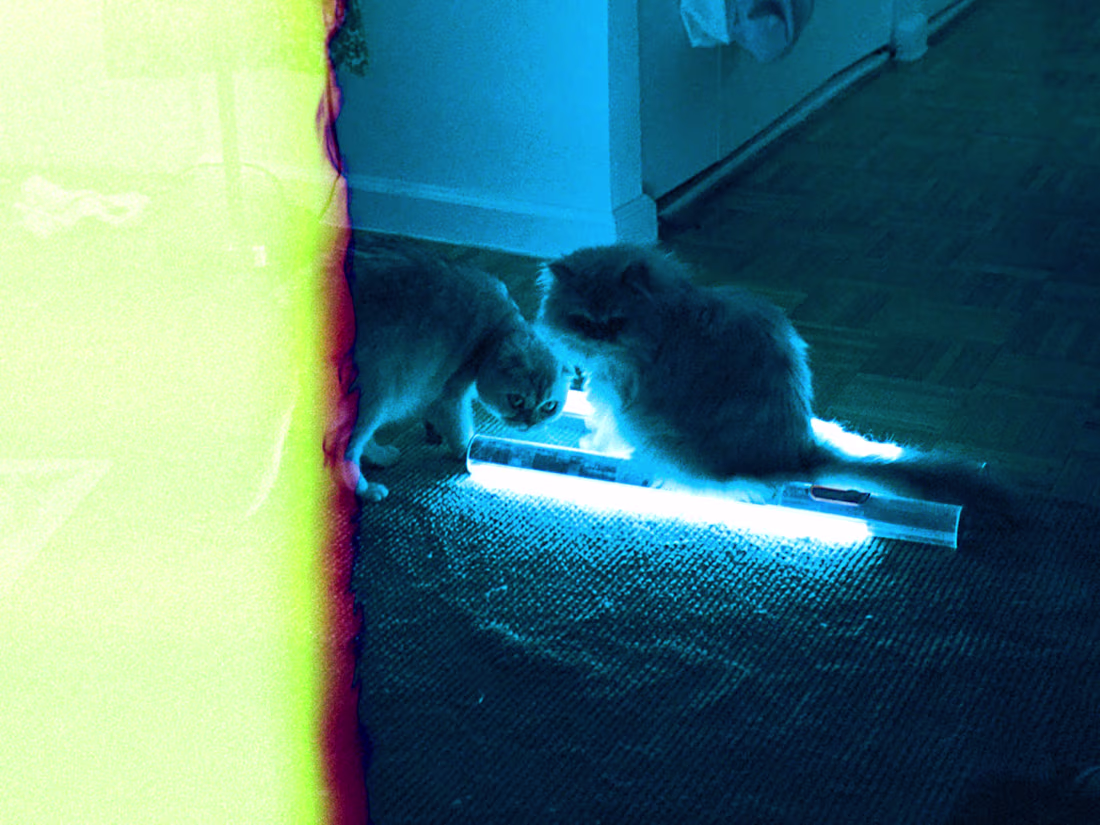 Cover image for portrait photography in any setting. in studio or on location.