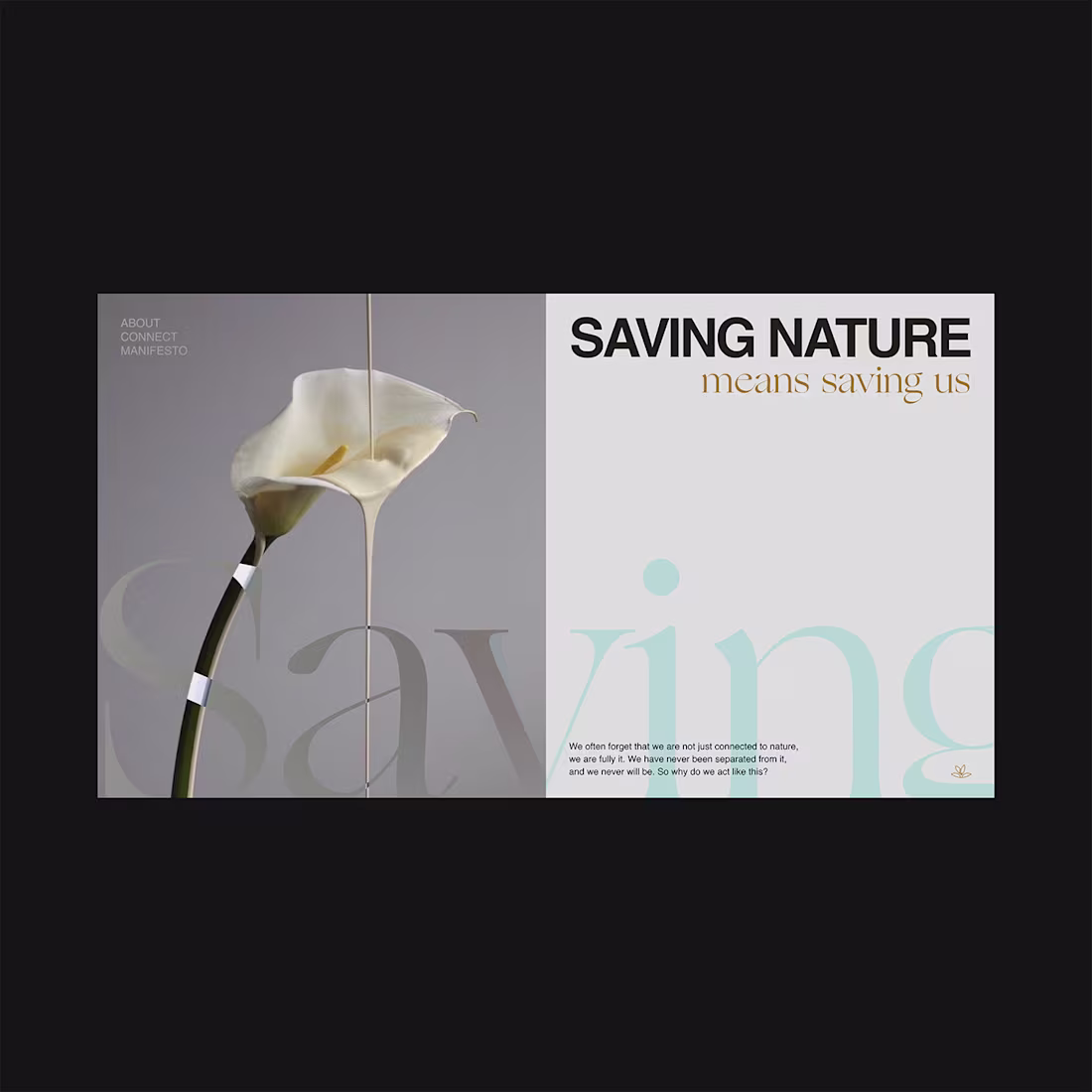 Cover image for Nature Rescue Non-profit ~ Hero Web Design