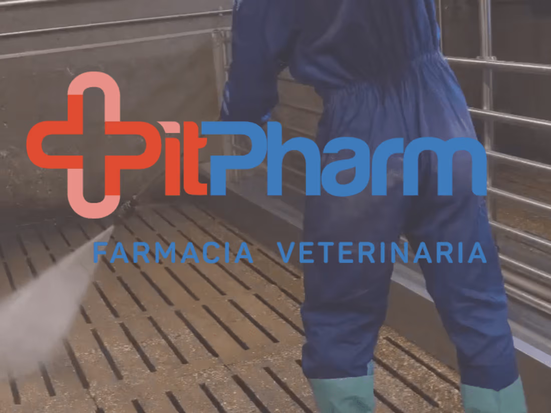 Cover image for PitPharm 