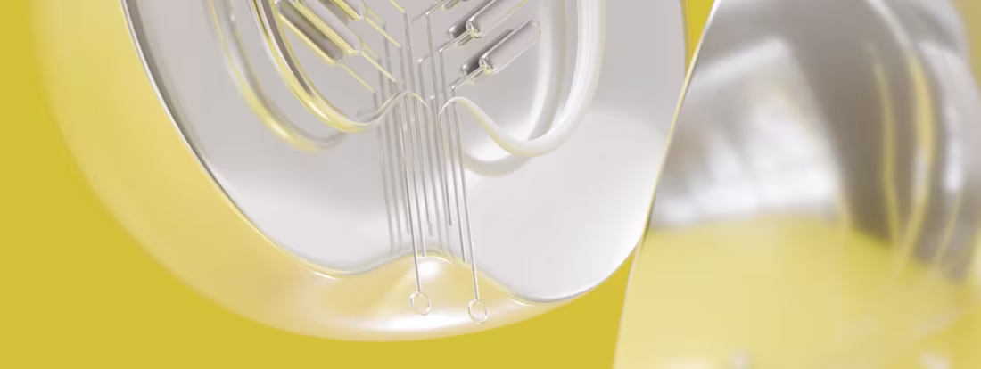 Cover image for Showreel 2024