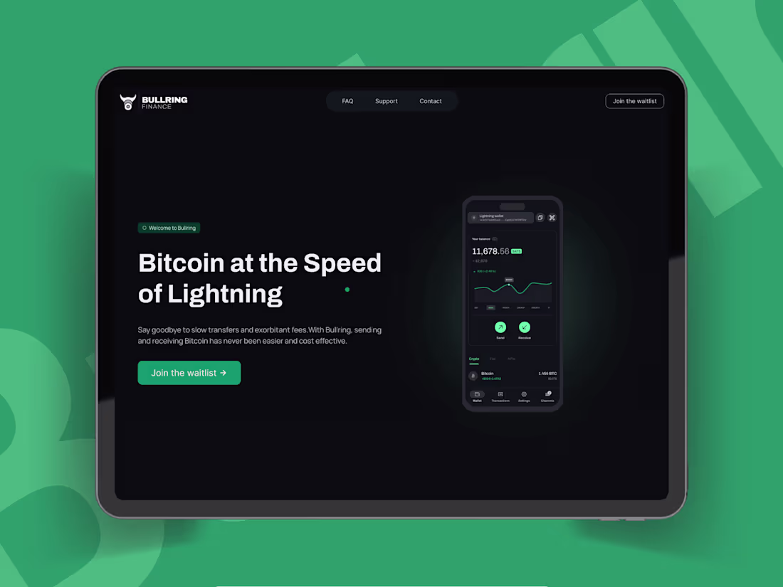 Cover image for Bullring Finance- Powering businesses with Stablecoin Payments.