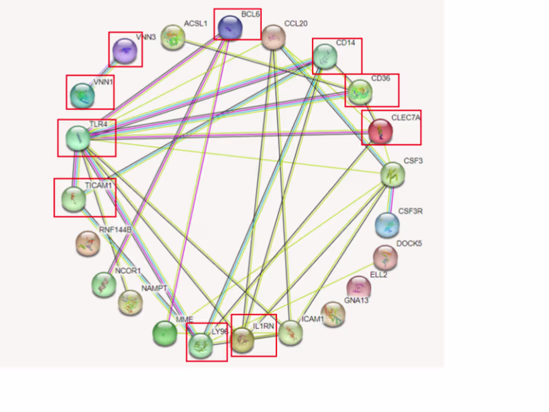 Cover image for Scientific Article: Key genes associated with NAFLD and AMI