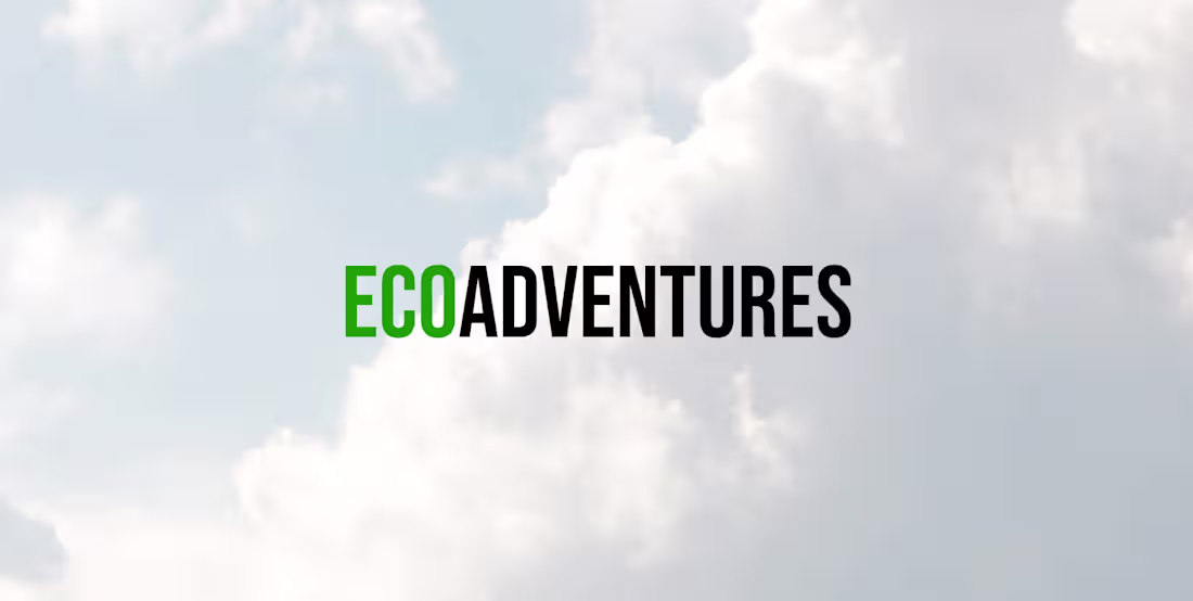Cover image for EcoAdventures Travel Website Concept