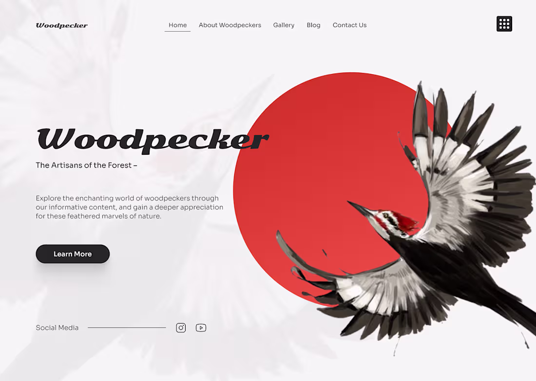 Cover image for Woodpecker Landing Page on Behance