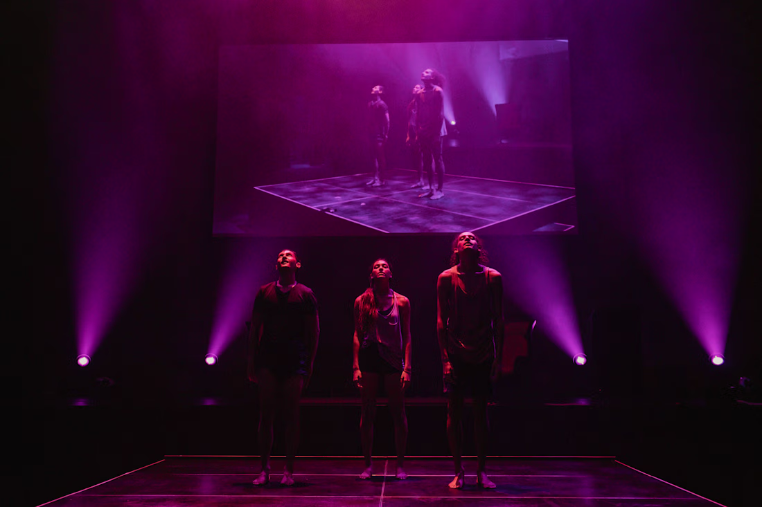 Cover image for Myriad 2017