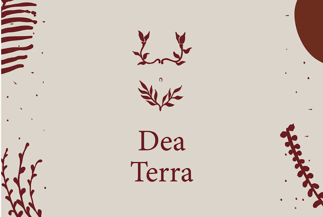 Cover image for Holistic branding for an online school