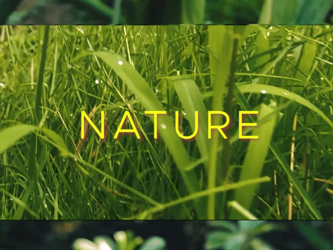 Cover image for Video Creation