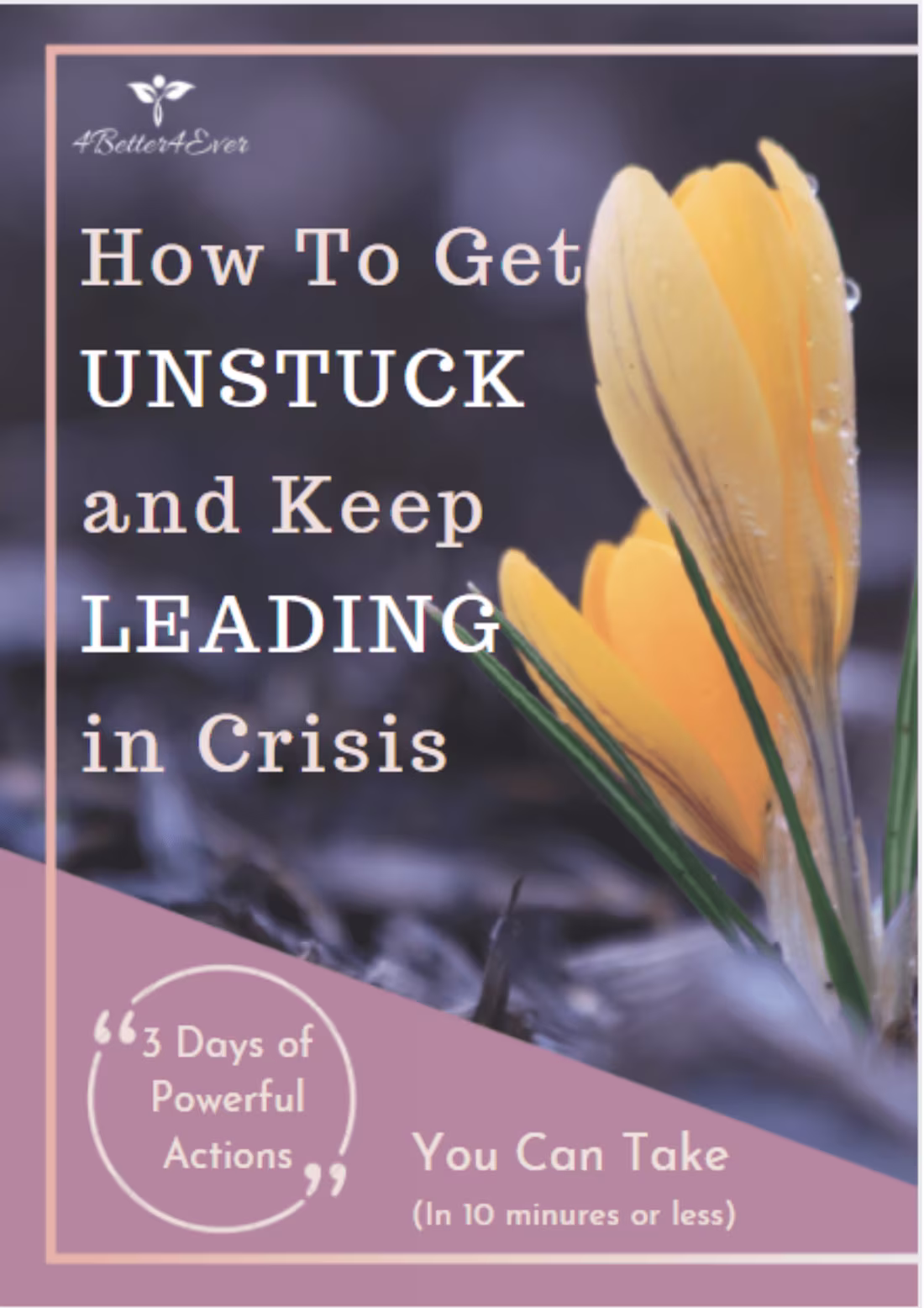 Cover image for Lead Magnet Cover