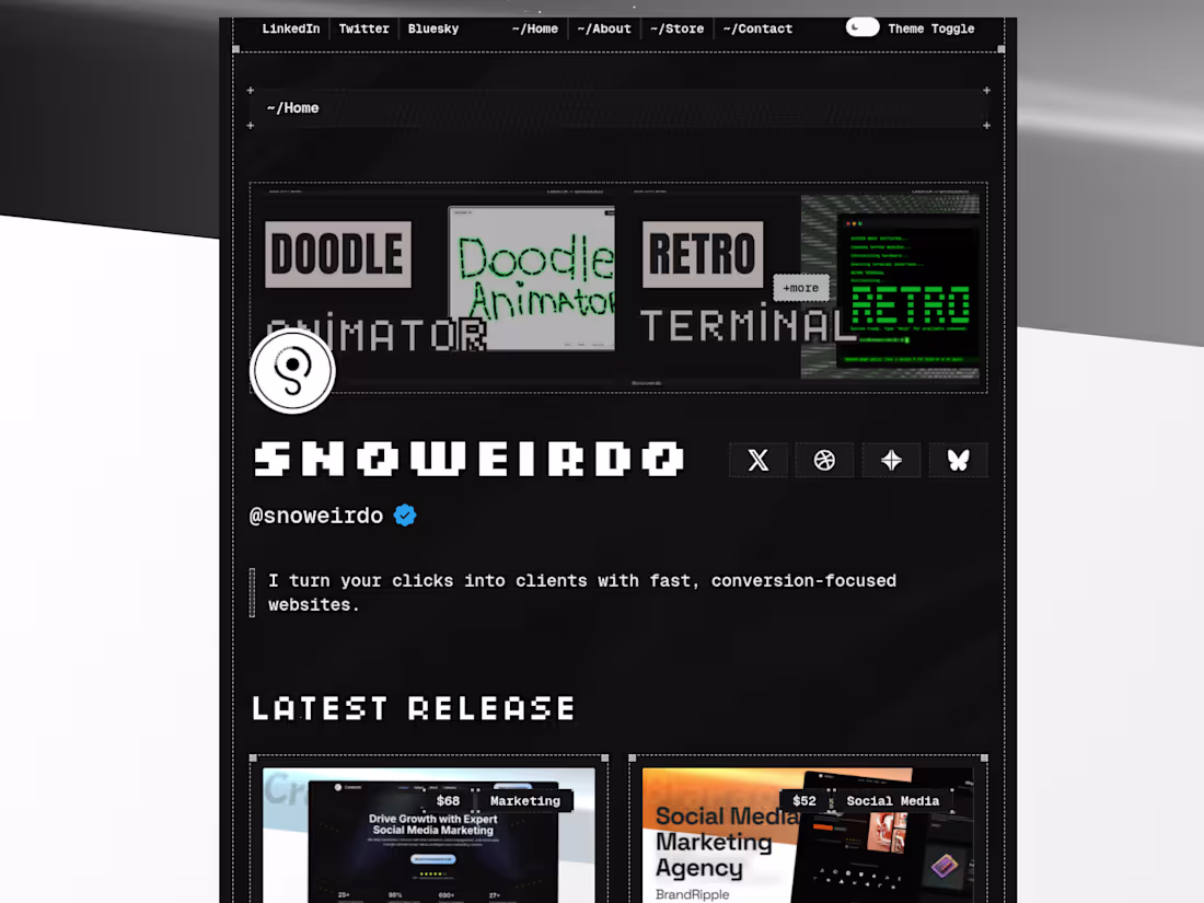 Cover image for Pixelus is meticulously crafted for