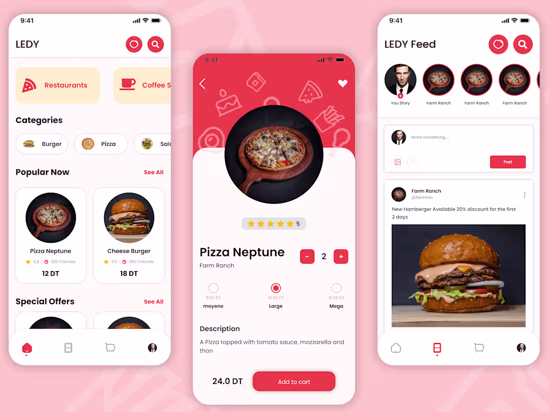 Cover image for LEDY