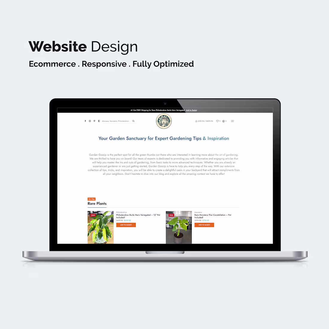 Cover image for Vector Logo & WordPress Website Design