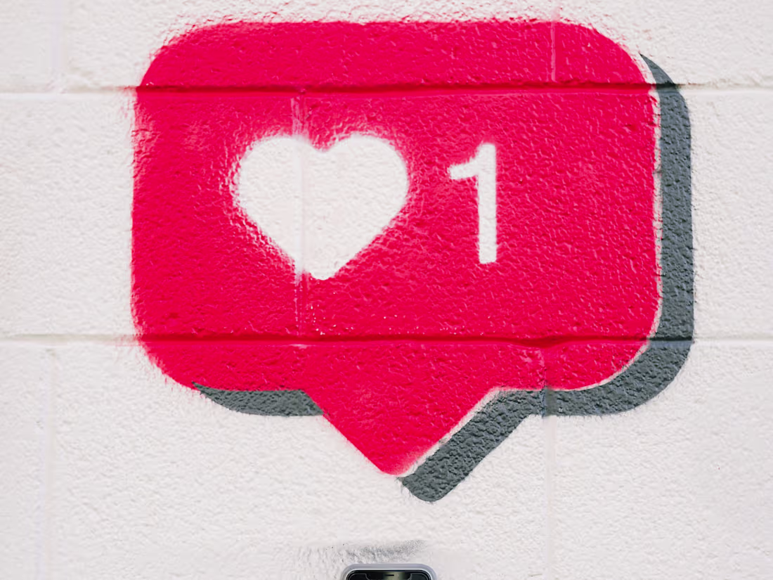 Cover image for Unleashing Visual Brilliance on Your Feed 🚀📸