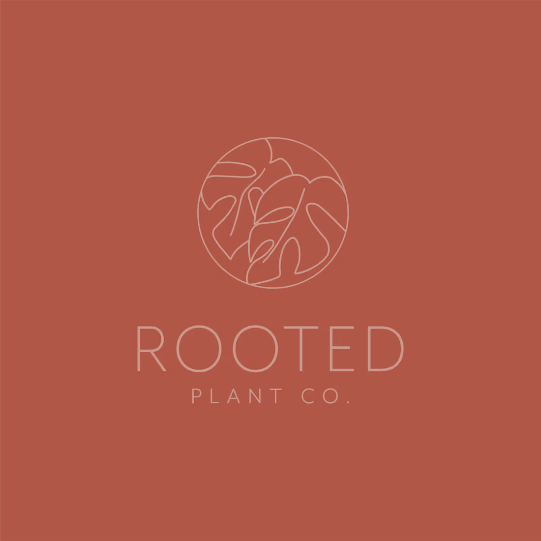 Cover image for Rooted Plant Co.