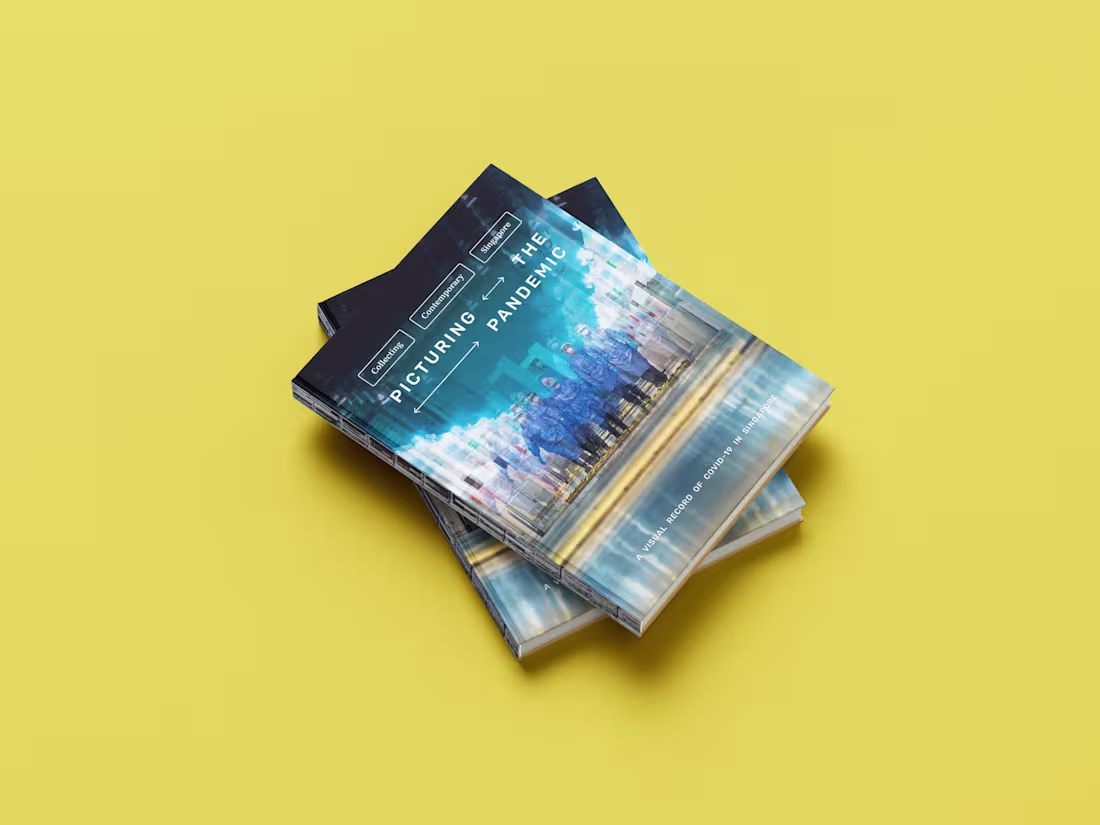 Cover image for Picturing the Pandemic