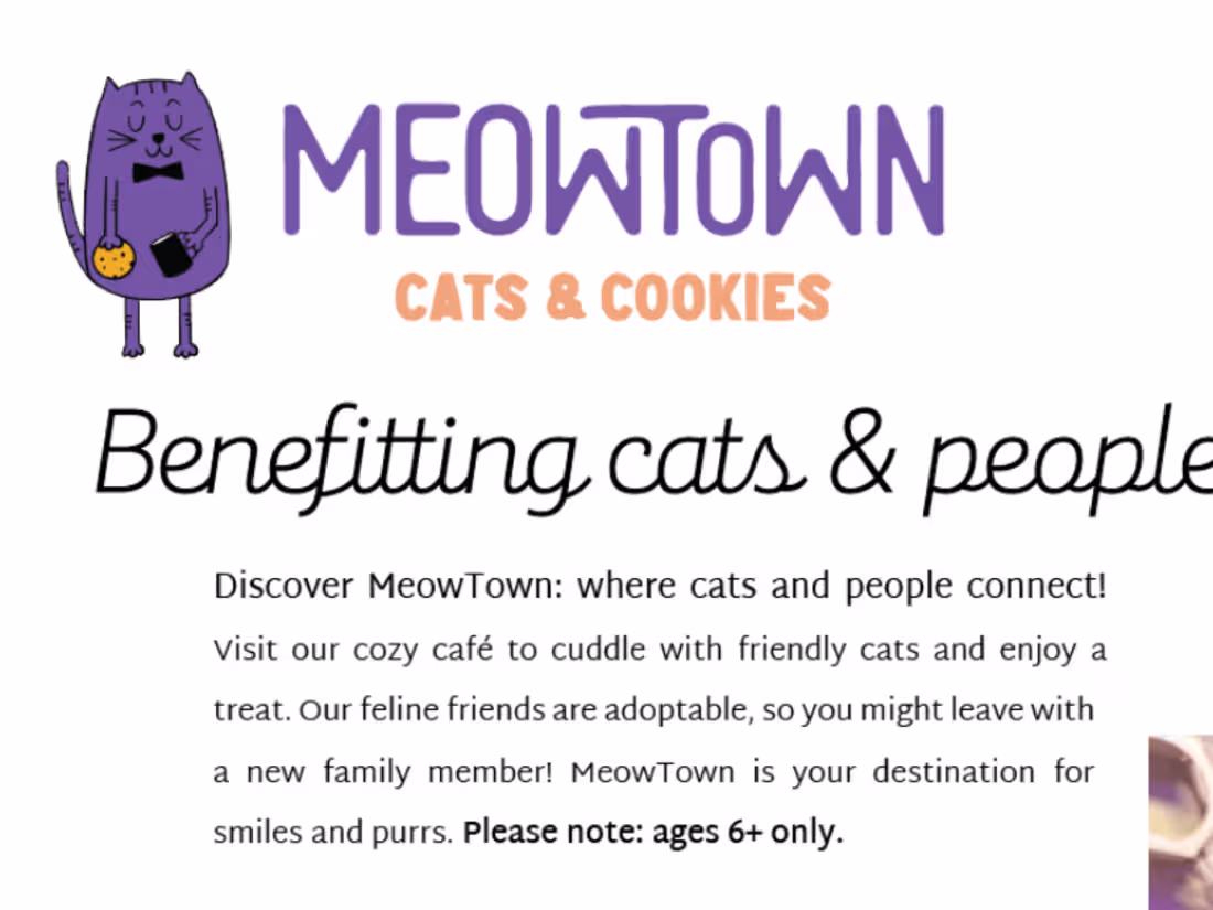 Cover image for Mya Harbison - MeowTown Flyer