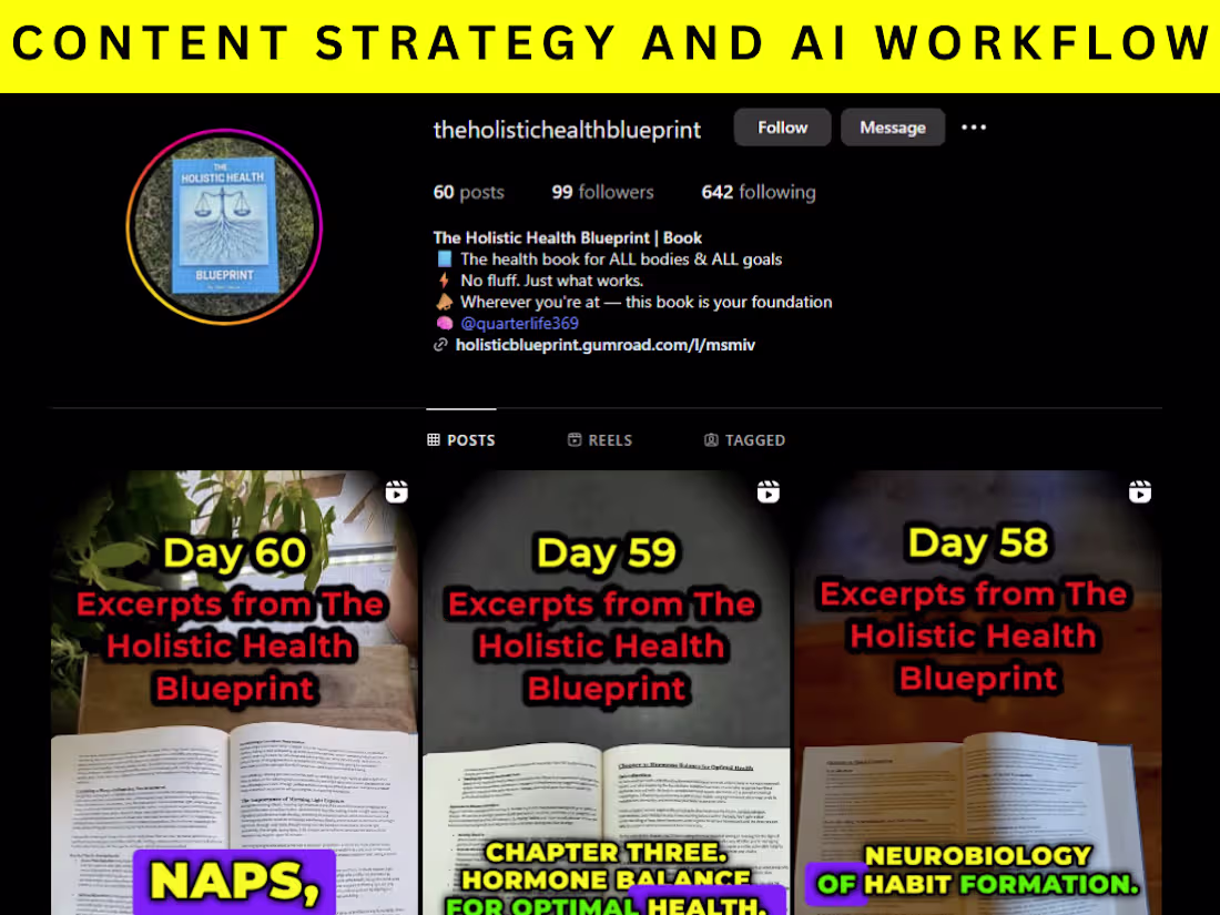 Cover image for The Holistic Health Blueprint | IG Strategy + AI Workflow