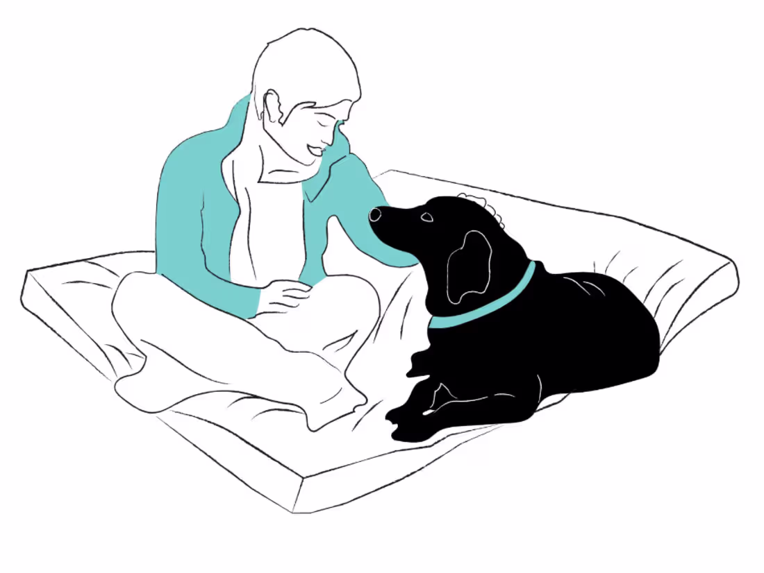 Cover image for Pet is Mightier than the Sword