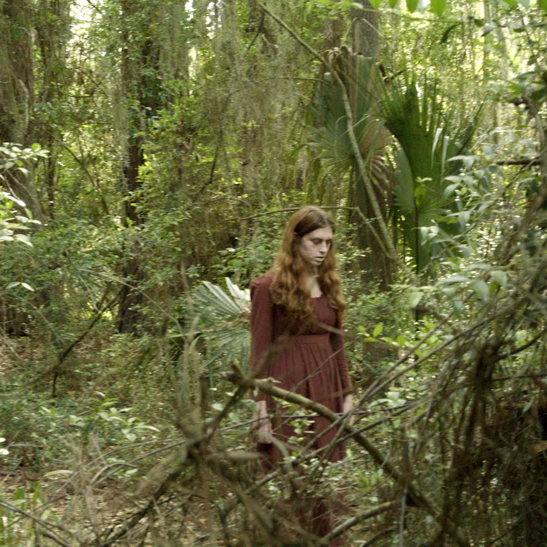 Cover image for THE MORNING GLORY QUEEN