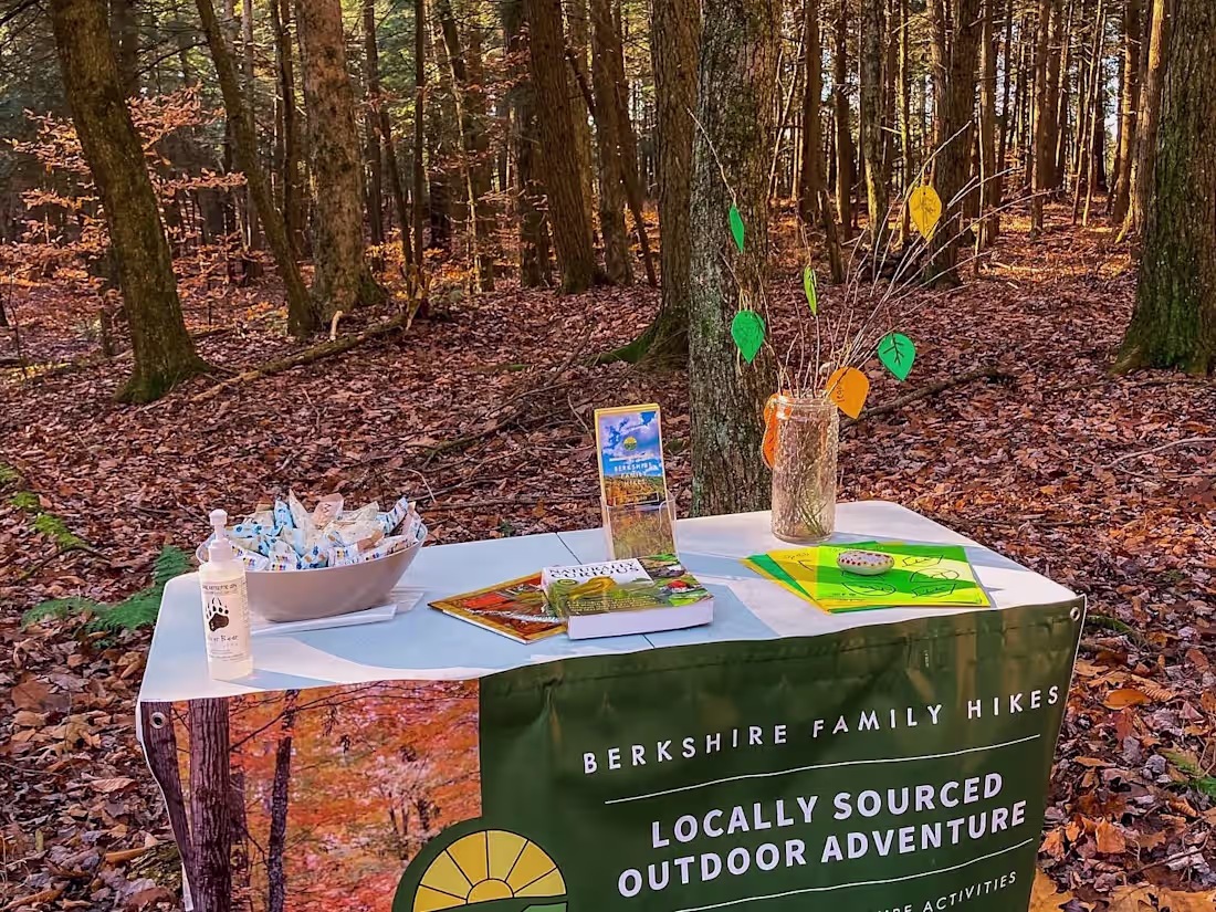 Cover image for Berkshire Family Hikes