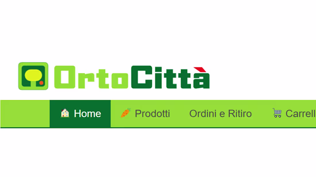 Cover image for Ortocitta