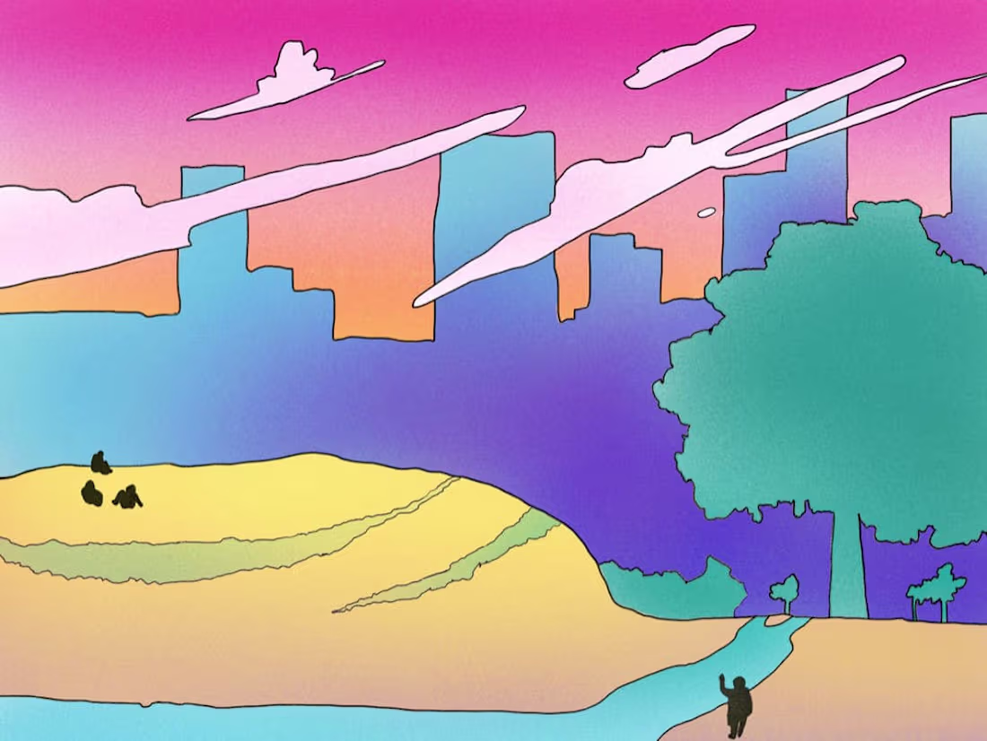 Cover image for Imagining Indigenous Futures