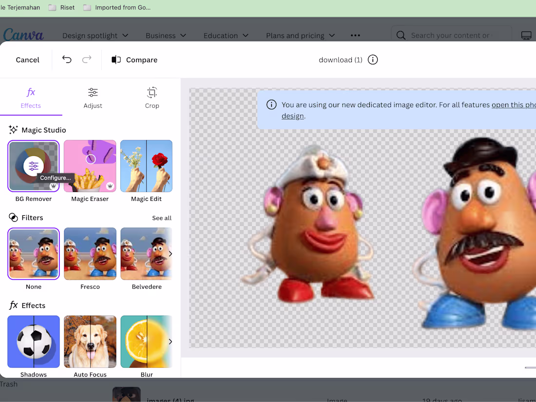 Cover image for Bot Canva remover background