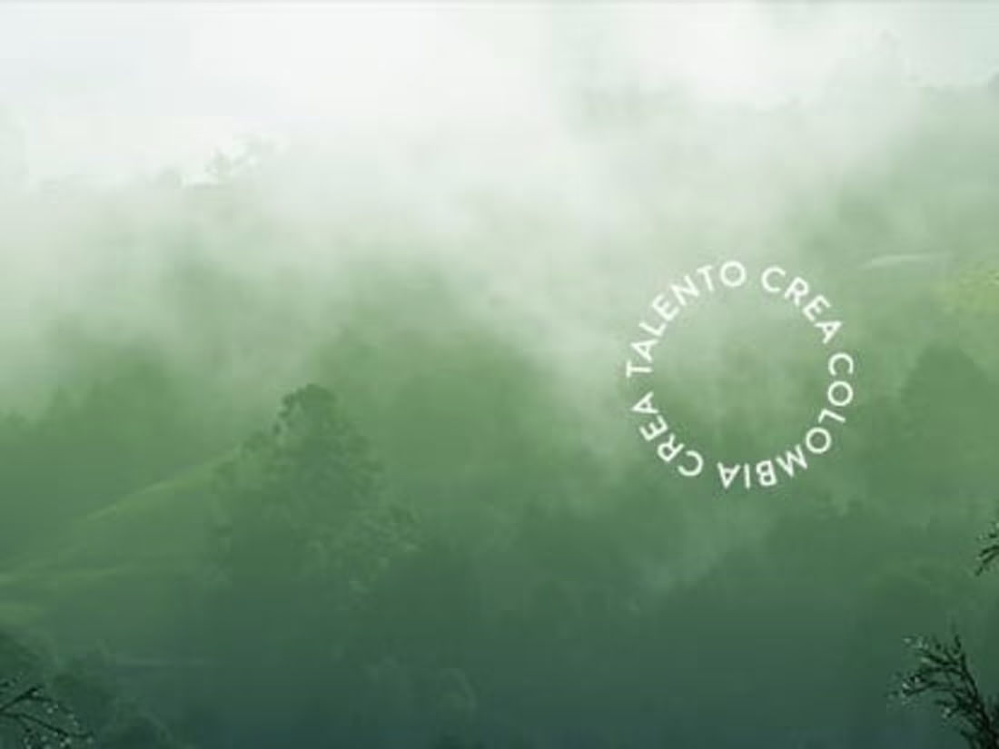 Cover image for Guarnewood - Taller creativo de producción audiovisual.