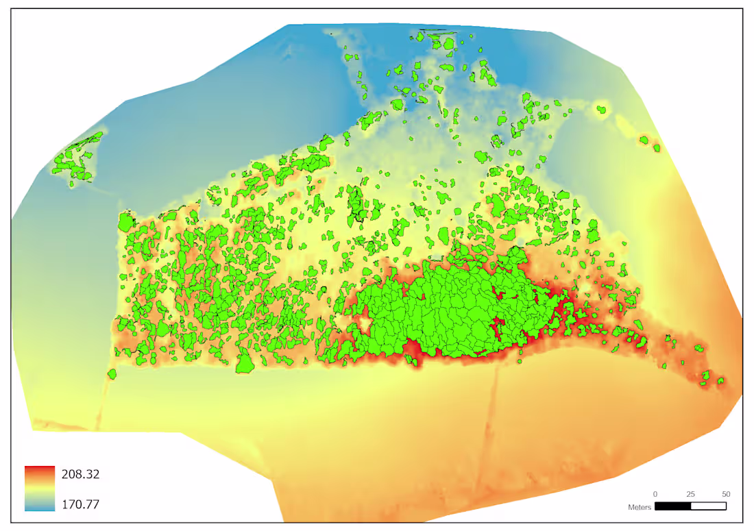 Cover image for Canopy crown indentification using LiDAR