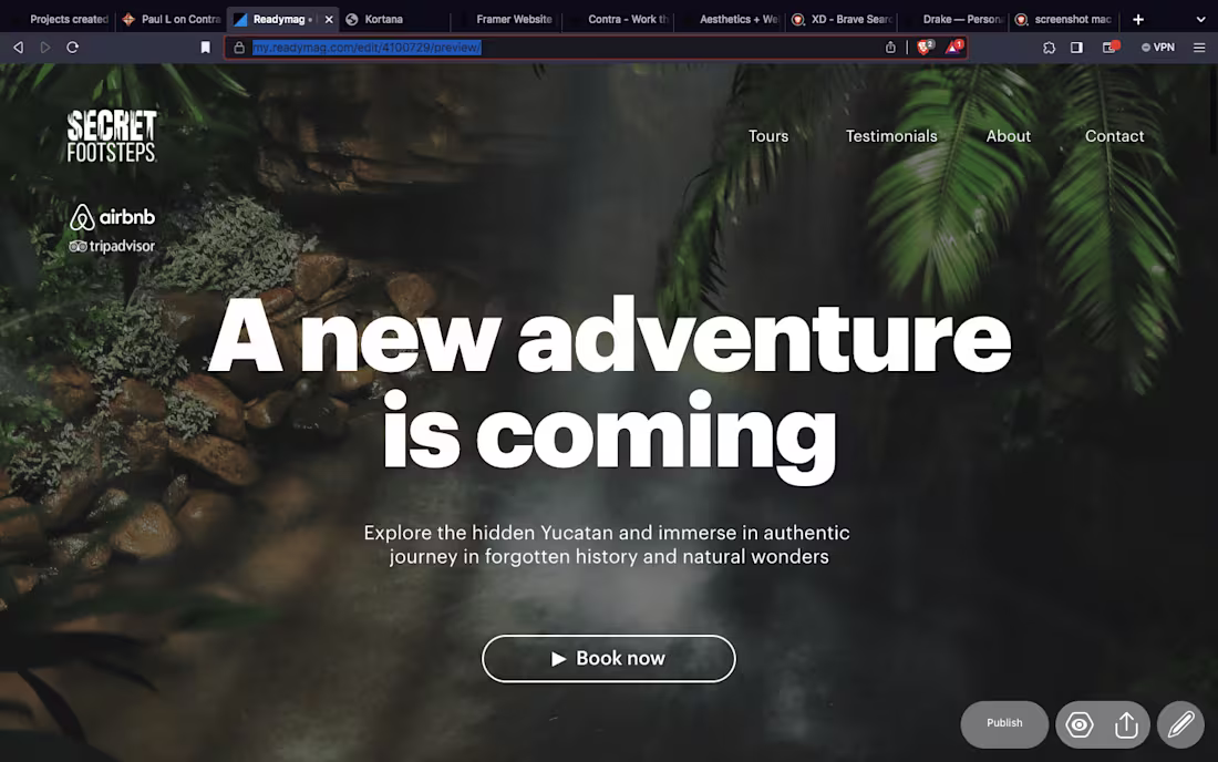 Cover image for Secret Footsteps