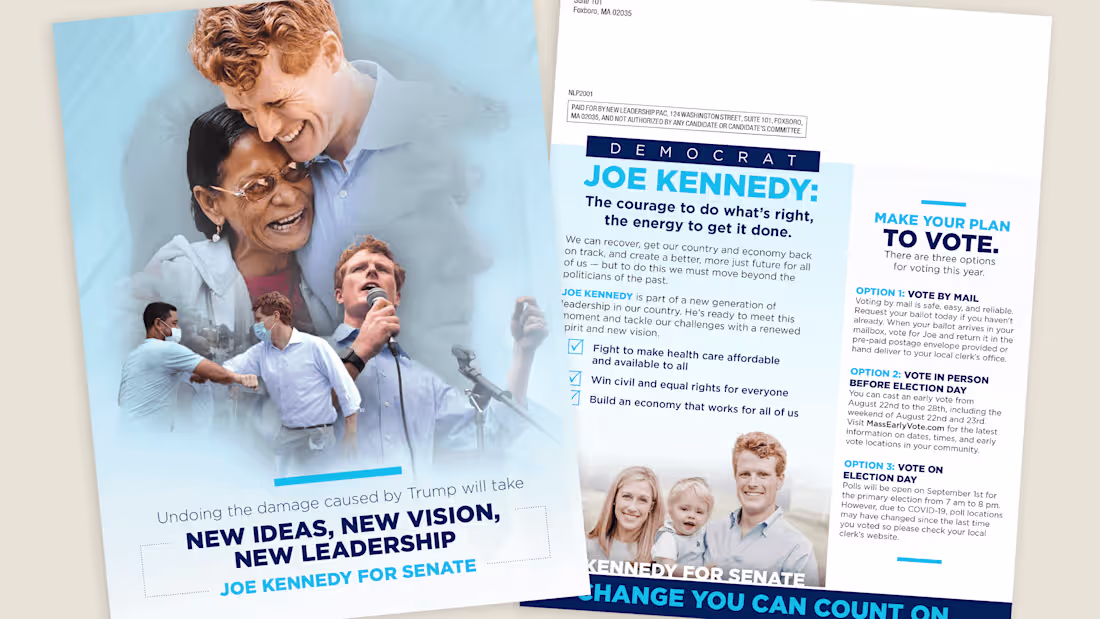 Cover image for Political Direct Mail