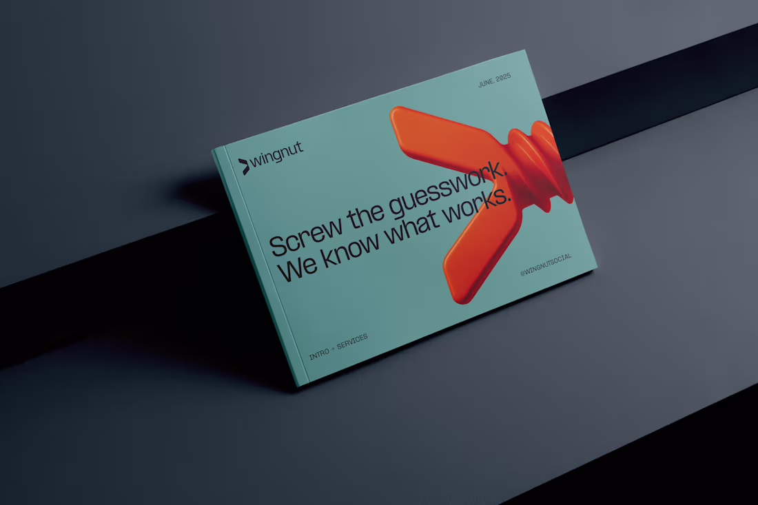 Cover image for Wingnut • Pitch Deck (Canva)